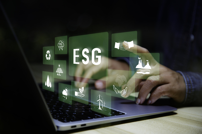 Практики устойчивого развития и ESG: формирование и развитие понятийного аппарата